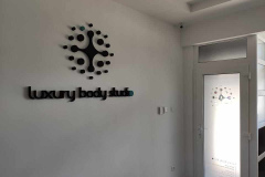 Luxury 3D logo